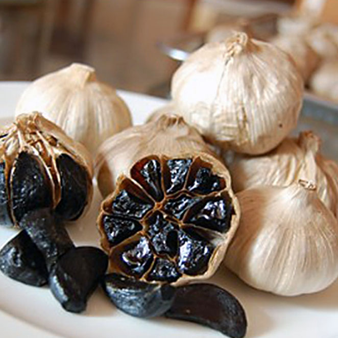 Garlic1
