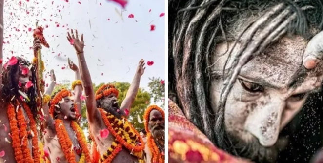 aghori