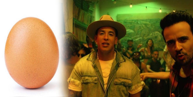 egg