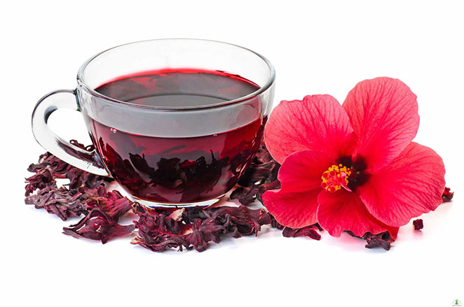 hibiscus-tea2