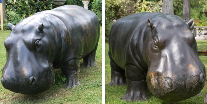 hippo