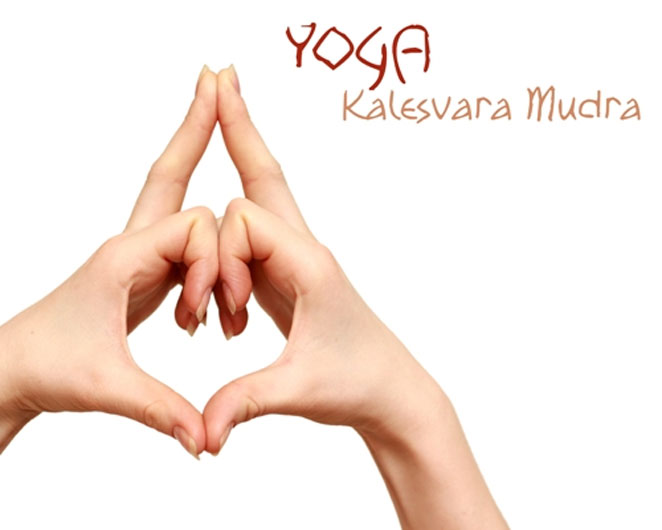 mudra1