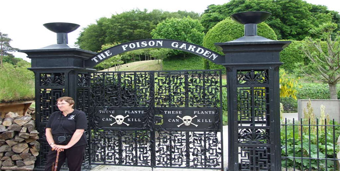 poison