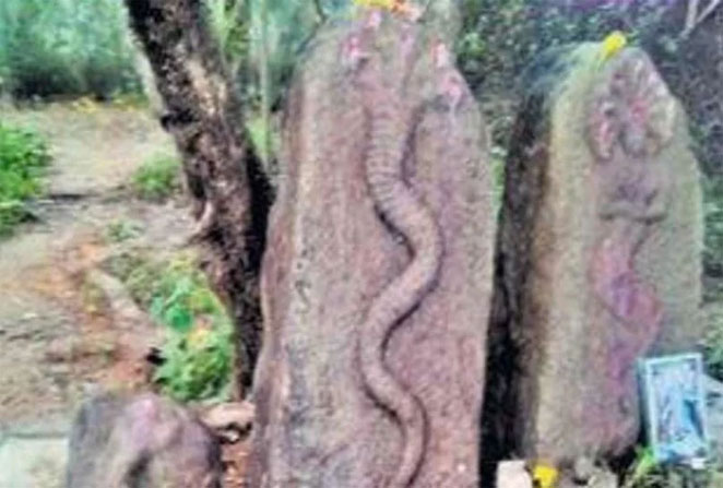 snake1