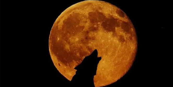 super-blood-wolf