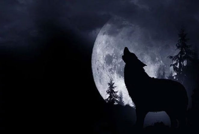 super-blood-wolf5
