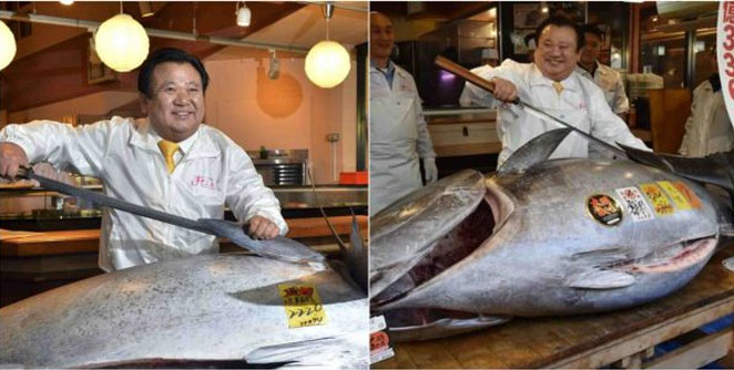 tuna-fish