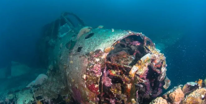 Earhart-Plane