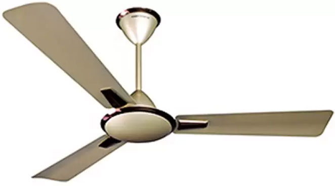 fan2