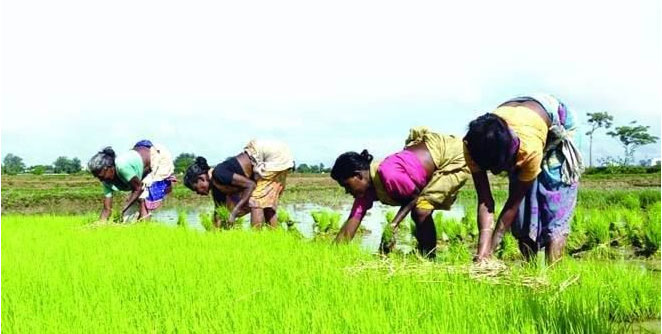 farmers