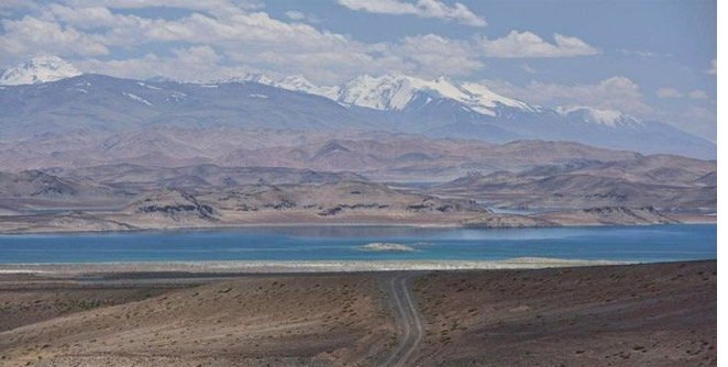 karakul