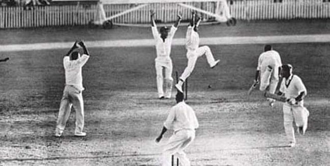 cricket