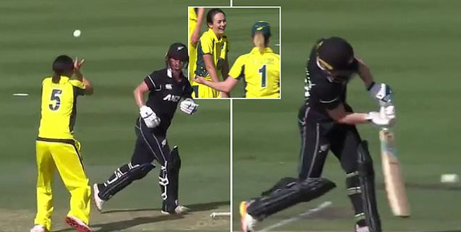 cricket