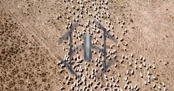 drone1