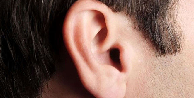 ear