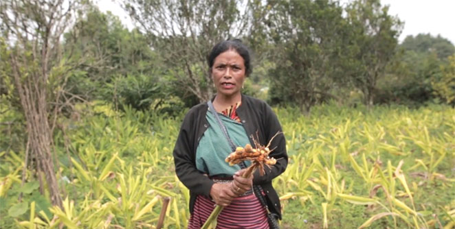farmer