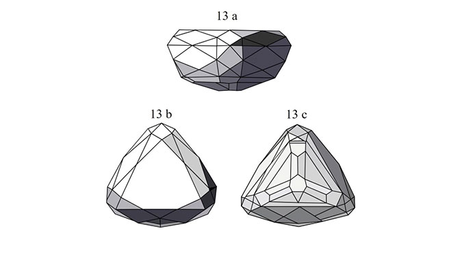 nasak1