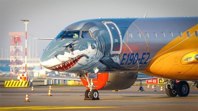 shark1