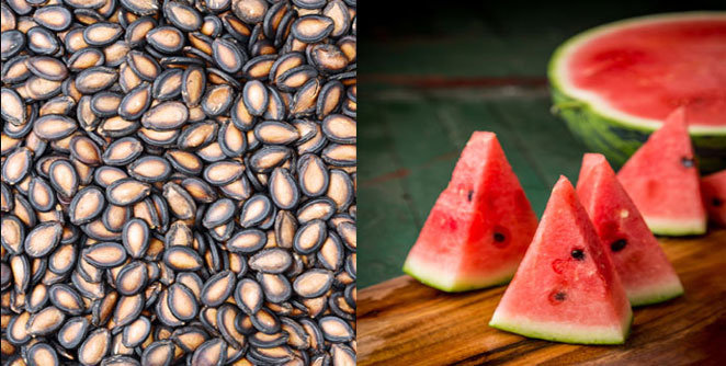 watermelon