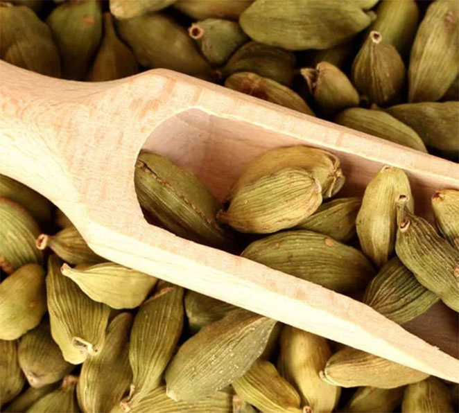 Cardamon1