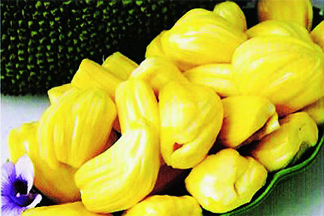 Konkan3