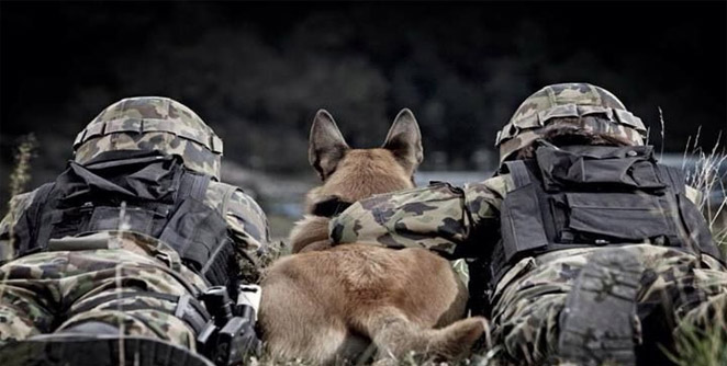 army