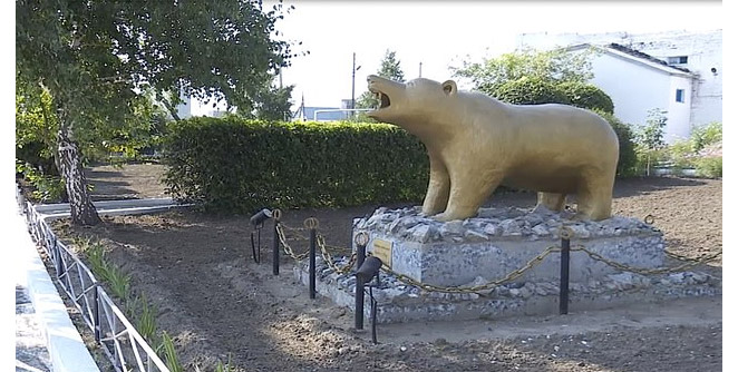 bear