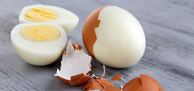 egg1