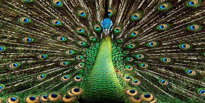 green