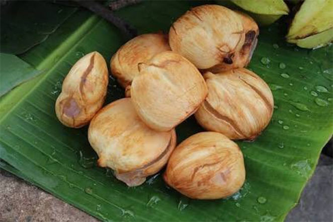 konkan6