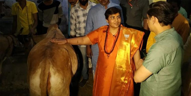 sadhavi-pragya