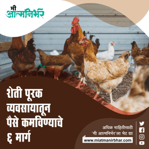 शेती पूरक व्यवसायातून पैसे कमविण्याचे ६ मार्ग